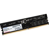 ADATA DIMM 32 GB DDR5-5600 (1x 32 GB), Arbeitsspeicher schwarz, GD5U5600732G-SMI, Gold
