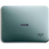 Busch-Jaeger Wippe mit Symbol Licht titan, Retail