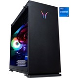 Medion ERAZER Hunter X20 (MD34319), Gaming-PC schwarz/transparent, Windows 11 Home 64-Bit