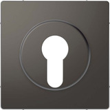 Merten Zentralplatte für genormte Profil-Halbzylinderschlösser mit 40 mm Länge lackiert matt anthrazit, Retail