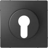 Merten Zentralplatte für genormte Profil-Halbzylinderschlösser mit 40 mm Länge lackiert matt anthrazit, Retail