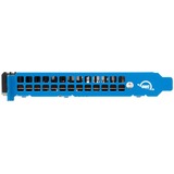 OWC Accelsior 8M2 16 TB, SSD schwarz/blau, PCIe 4.0 x16, NVMe 1.3, AIC