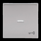 Busch-Jaeger Wippe mit Symbol Schlüssel edelstahl, Retail