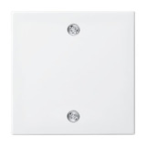 Busch-Jaeger Zentralscheibe für Schalter und Taster, Abdeckung weiß, Retail