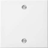 Busch-Jaeger Zentralscheibe für Schalter und Taster, Abdeckung weiß, Retail