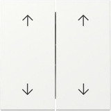 Gira Wippe zweifach mit Pfeilsymbolen weiß, Retail