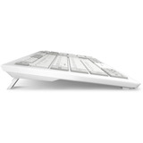 Sharkoon OfficePal K30W, Tastatur weiß, DE-Layout, Rubberdome