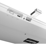 Sharkoon OfficePal K30W, Tastatur weiß, DE-Layout, Rubberdome