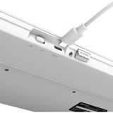 Sharkoon OfficePal K30W, Tastatur weiß, DE-Layout, Rubberdome