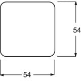 Busch-Jaeger Wippe einteilige mit Symbol Licht Retail
