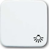 Busch-Jaeger Wippe einteilige mit Symbol Licht Retail