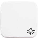 Busch-Jaeger Wippe einteilige mit Symbol Licht Retail