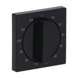 Busch-Jaeger Zentralscheibe Bedienelement, Abdeckung anthrazit, Retail