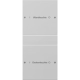 Gira Wippenset zweifach beschreibbar lackiert, Schalter grau, Retail