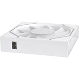 Thermaltake SWAFAN 120 EX INFINITY ARGB Sync PC Cooling Fan, Gehäuselüfter weiß, 1er-Pack, 120 mm, 124 mm
