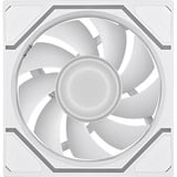 Thermaltake SWAFAN 120 EX INFINITY ARGB Sync PC Cooling Fan, Gehäuselüfter weiß, 1er-Pack, 120 mm, 124 mm