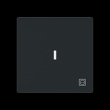 Busch-Jaeger Wippe mit Symbol Stecker mit transparenter Kalotte schwarz, Retail