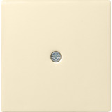 Gira Zentraleinsatz cws-gl, Zentralplatte Retail