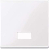 Merten Wippe Symbol Fenster aktivweiß glänzend rechteckig Kontrollschalter- und Taster-Einsatz weiß (glänzend), Retail