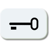 Busch-Jaeger Tastersymbol ausschaltwippe 2525 TR-214, Schlüssel weiß, Retail