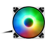 Sharkoon SilentStorm 120 PWM RGB Fan, Gehäuselüfter 