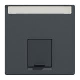 Merten Zentralplatte einfach mit Schriftfeld und Verschlussschieber anthrazit, Retail