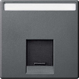 Merten Zentralplatte einfach mit Schriftfeld und Verschlussschieber anthrazit, Retail