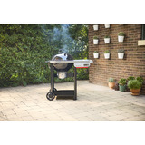Weber Holzkohlegrill Perfomer  schwarz/silber, Ø 57cm, Modell 2026