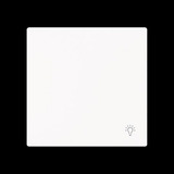 Busch-Jaeger Wippe geschlossen mit Symbol weiß, Retail