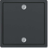 Busch-Jaeger Zentralscheibe mit Zugschnur, Abdeckung anthrazit, Retail