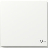 Gira Wippe mit Symbol Tür weiß, Retail