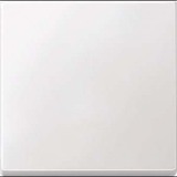 Merten Wippe für Wechselschalter, Kreuzschalter und Taster, 1-fach, Duroplast, glänzend weiß (glänzend), Retail