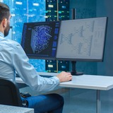 Ergotron LX Dual Monitor Arm, Monitorhalterung schwarz