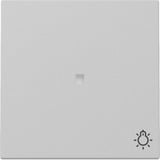 Gira Wippe Kontrollfenster und Symbol grau, Retail