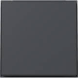 Gira Wippe mit Diebstahlschutz durch optional verschraubbares Klemmstück anthrazit, Retail