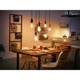 Philips HUE White Filament Lampe E27 A60 550 lm, LED-Lampe 