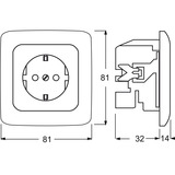 Busch-Jaeger Steckdosen Einsatz mit Steckanschluss 20 EUJ-214 weiß, Retail