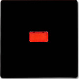 Busch-Jaeger Wippe Kontroll-Wechsel braun, Retail