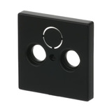 Busch-Jaeger Zentralscheibe matt für Antennendose 2-Loch, Typ 1743-885, Kunststoff, Unterputz, Zentralplatte schwarz (matt), Retail