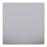 Merten Blindabdeckung mit zentraler Abdeckplatte für Unterputzmontage edelstahl, Retail