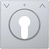 Merten Zentralplatte für genormte Profil-Halbzylinderschlösser mit 40 mm Länge edelstahl, Retail