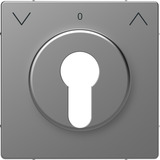 Merten Zentralplatte für genormte Profil-Halbzylinderschlösser mit 40 mm Länge edelstahl, Retail