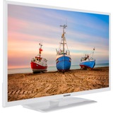 XF32N550M-W, LED-Fernseher