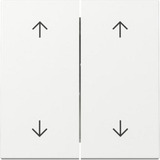 Gira Wippe zweifach mit Pfeilsymbolen, Abdeckung weiß, Retail