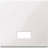Merten Wippe mit Symbolfenster rechteckig, Kontrollschalter- und Taster-Einsatz, Typ 432819 weiß (glänzend), Retail
