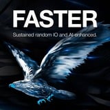 Seagate SkyHawk 1 TB, Festplatte SATA 6 Gb/s, 3,5"