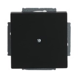 Busch-Jaeger Zentralscheibe mit Tragring, Blindabdeckung, matt, Kunststoff, Unterputz, 71x71 mm schwarz (matt), Retail