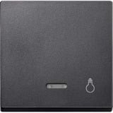 Merten Wippe Kontrollfenster für Schalter und Taster aus Thermoplast matt, Abdeckung anthrazit, Retail