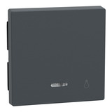 Merten Wippe Kontrollfenster für Schalter und Taster aus Thermoplast matt, Abdeckung anthrazit, Retail