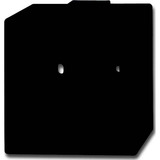 Busch-Jaeger Aufputz-Gehäuse einfach anthrazit, Retail